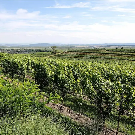 Apartament Dreamfactory - Wine Escapes *