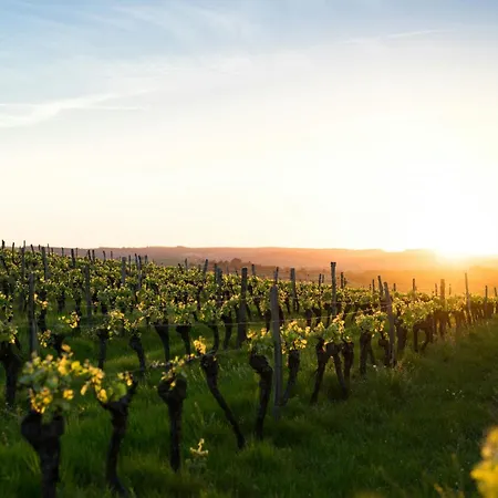 Apartament Dreamfactory - Wine Escapes *