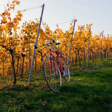 Dreamfactory - Wine Escapes Langenlois